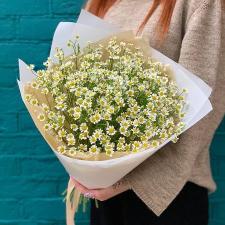 Букет живых цветов ЦВЕТЫ МИШКИ Букет из 17 веток танацетума