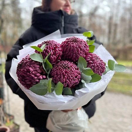 Букет живых цветов LE BOUQUET Роскошный букет из фиолетовых хризантем джон хорнор джейкобс живой роскошный ад