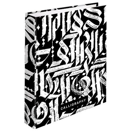 Тетрадь BRAUBERG Тетрадь на кольцах тетрадь 120л кл universe на кольцах шелкография обложка кожзам