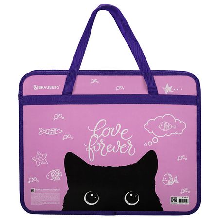 Папка для бумаг BRAUBERG Папка на молнии с ручками Black Cat