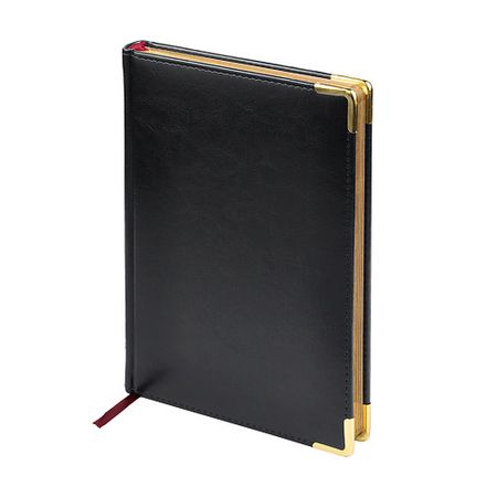 Ежедневник BRUNO VISCONTI Ежедневник недатированный  