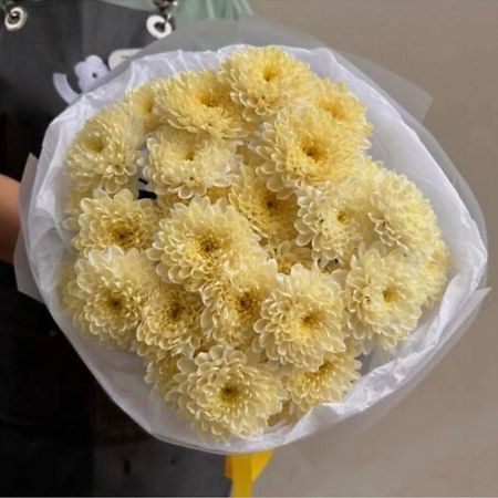 Букет живых цветов МНОГО ЦВЕТОВ ЦВЕТОЧНЫЙ МАГАЗИН Монобукет из 5 желтых кустовых хризантем