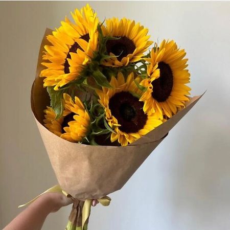 Букет живых цветов МНОГО ЦВЕТОВ ЦВЕТОЧНЫЙ МАГАЗИН Монобукет из 5 подсолнухов