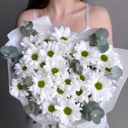 Букет живых цветов FLORY.ME 5 белых кустовых хризантем с эвкалиптом