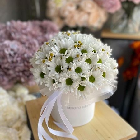 Букет живых цветов МНОГО ЦВЕТОВ ЦВЕТОЧНЫЙ МАГАЗИН Коробочка из кустовых хризантем и танацетума