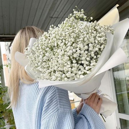 Букет живых цветов МНОГО ЦВЕТОВ ЦВЕТОЧНЫЙ МАГАЗИН Воздушный монобукет из белых гипсофил