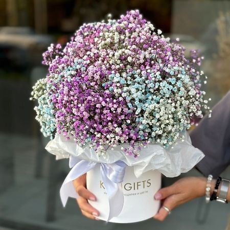 Букет живых цветов KIWIGIFTS Букет цветов живые гипсофилы