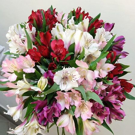 Букет живых цветов С ЛЮБОВЬЮ, РОЗА Букет из Альстрамерии