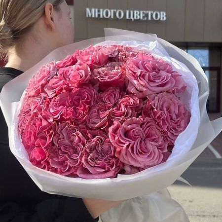 Букет живых цветов МНОГО ЦВЕТОВ ЦВЕТОЧНЫЙ МАГАЗИН Монобукет из 17 пионовидных роз сорта Country Blue