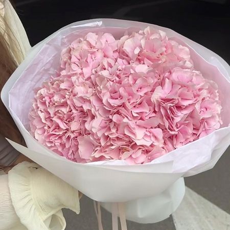 Букет живых цветов МНОГО ЦВЕТОВ ЦВЕТОЧНЫЙ МАГАЗИН Монобукет из розовых гортензий