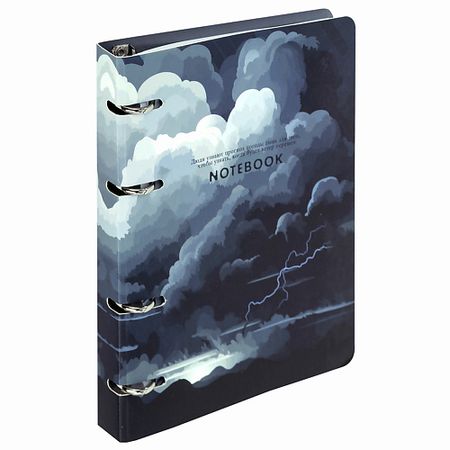 Тетрадь BRAUBERG Тетрадь на кольцах 120 листов тетрадь на кольцах в клетку listoff   style 2 120 листов