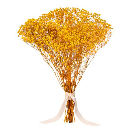 Букет из сухоцветов MANDARIN DECOR Букет из сухоцветов декоративные цветы набор для декора