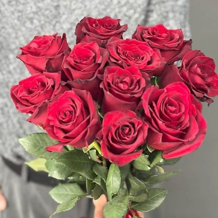 Букет живых цветов 4 СЕЗОНА Монобукет из 11 красных роз