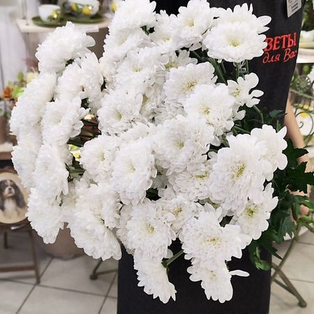 Букет живых цветов ЦВЕТЫ ДЛЯ ВАС Букет из 11 кустовых хризантем белых