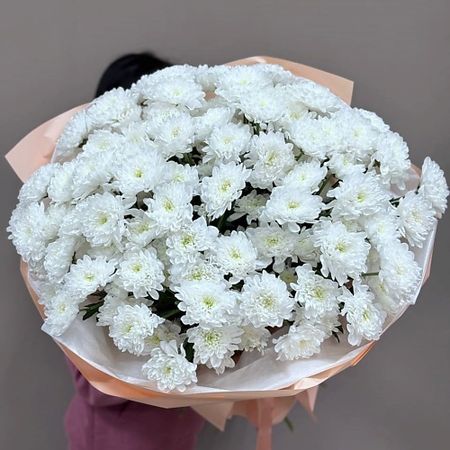 Букет живых цветов FANTASY Гигант из хризантем андре лори лазурный гигант