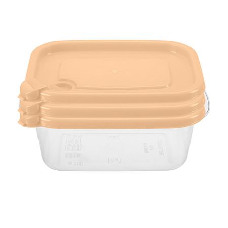 набор контейнеров PHIBO Фреш 3шт 0,6л 16х11,5х9,5см прямоугольный с клапаном пластик денис анатольевич ануров философский фреш 50 идей которые освежат твое сознание