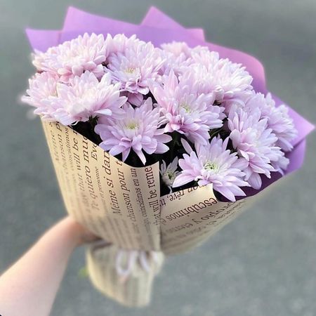Букет живых цветов FLOWERTVER Букет из кустовой хризантемы