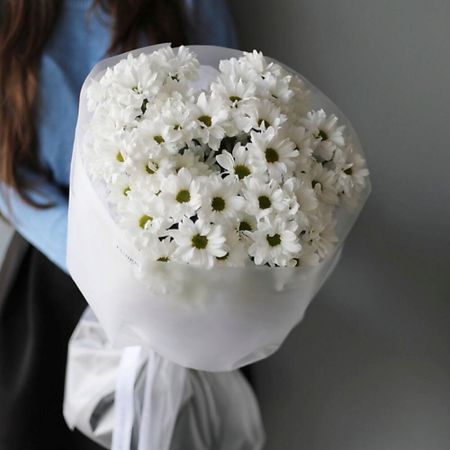 Букет живых цветов FLOWERTVER 7 ромашкообразных хризантем в дизайнерской упаковке
