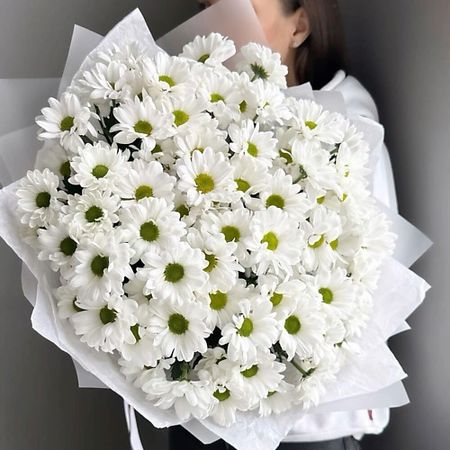 Букет живых цветов FLOWERTVER Ромашковое поле алмазная мозаика котик в ночном поле 30 30 см