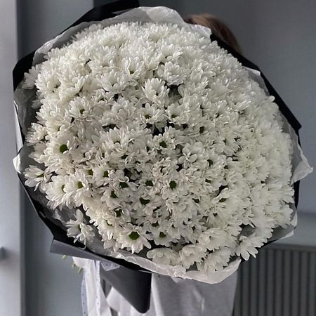 Букет живых цветов FLOWERTVER Большой букет ромашкообразных хризантем джефф эбботт большой куш