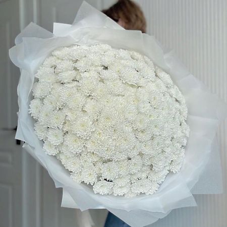 Букет живых цветов FLOWERTVER Огромнейший букет из белых кустовых хризантем