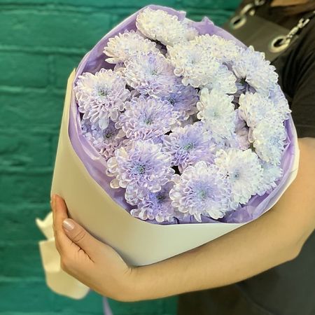 Букет живых цветов ЦВЕТЫ МИШКИ Букет из 5 лавандовых хризантем