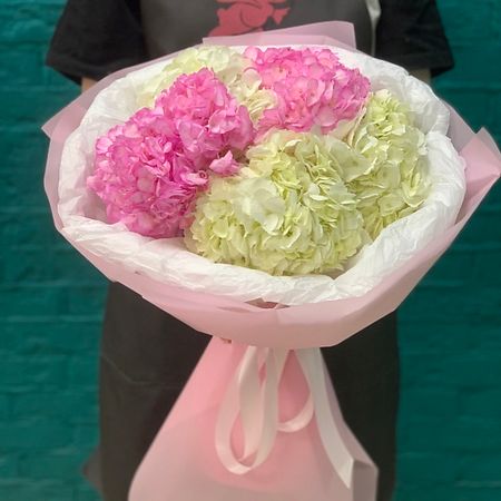 Букет живых цветов ЦВЕТЫ МИШКИ Букет из 5 бело-розовых гортензий возвращение повелителя этюд в розовых тонах