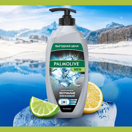 Гель для душа PALMOLIVE Гель для душа освежающий 3 в 1 FOR MEN Арктический ветер