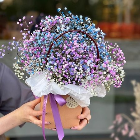 Букет живых цветов KIWIGIFTS Букет цветов живые Гипсофилы