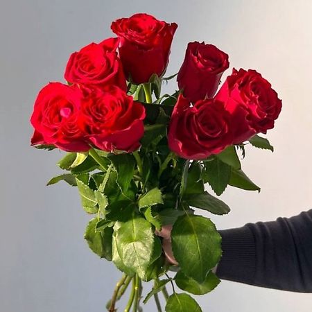 Букет живых цветов ЦВЕТЫ ДЛЯ ВАС Букет из 7 розовых роз (Кения)