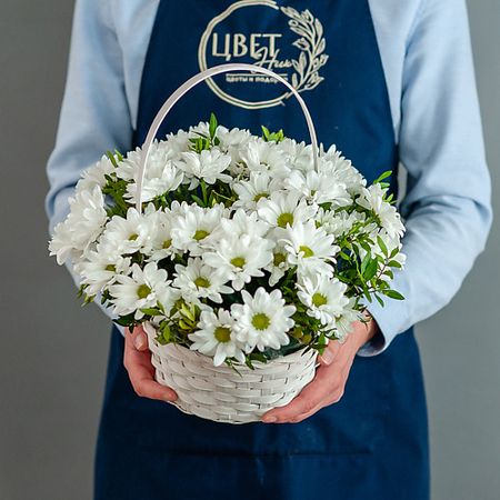 Букет живых цветов ЦВЕТНИК ЦВЕТЫ И ПОДАРКИ Корзина ромашек Размер S