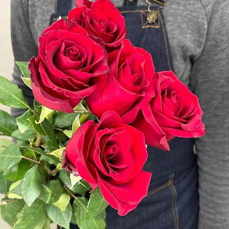 Букет живых цветов ЦВЕТЫ ДЛЯ ВАС Букет из 5 красных роз (Эквадор) 20 см 50 см алексей анатольевич березин 7 красных линий