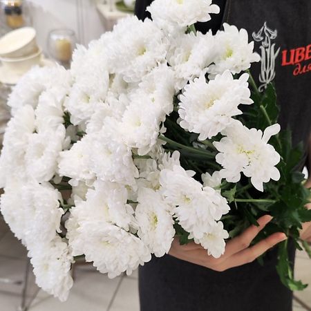 Букет живых цветов ЦВЕТЫ ДЛЯ ВАС Букет из 7 кустовых хризантем белых