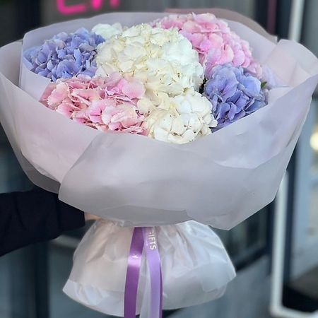 Букет живых цветов KIWIGIFTS Букет цветов живые Гортензии