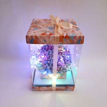 Букет живых цветов ЗЕФИРКО Светящийся букет гипсофил в подарочной коробке Для тебя